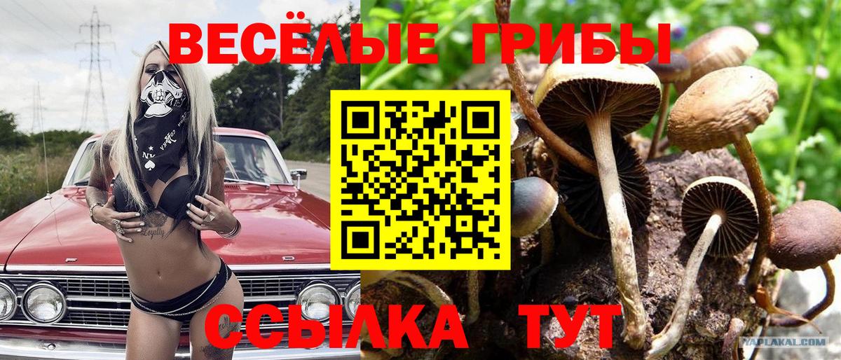 Галлюциногенные грибы Magic Shrooms Ессентуки