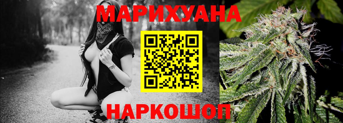Бошки марихуана ГИДРОПОН  Конопля OG Kush  Ессентуки  Вход с VPN  Канабис планчик 